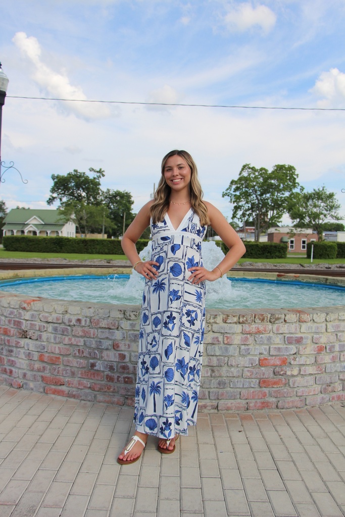 SYLVIE MIDI DRESS POSTCARD-FLORAL