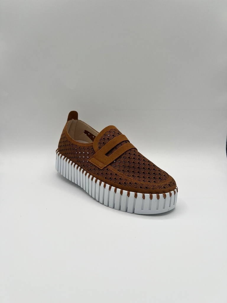 TULIP 3899 CASHEW WHITE