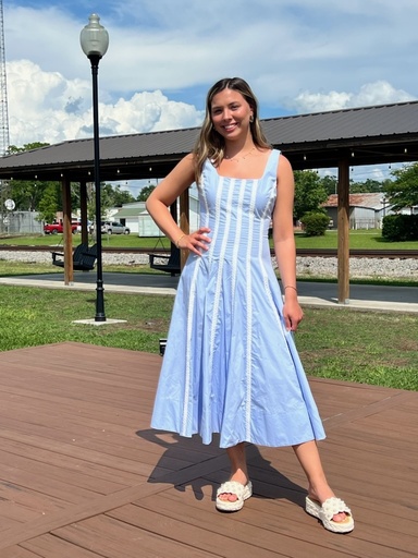 BABY BLUE BANCROFT MIDI DRESS